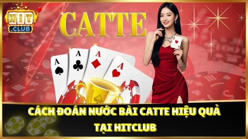 Cách Đoán Nước Bài Catte Hiệu Quả Tại HitClub