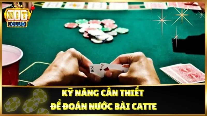 Kỹ năng cần thiết để đoán nước bài Catte